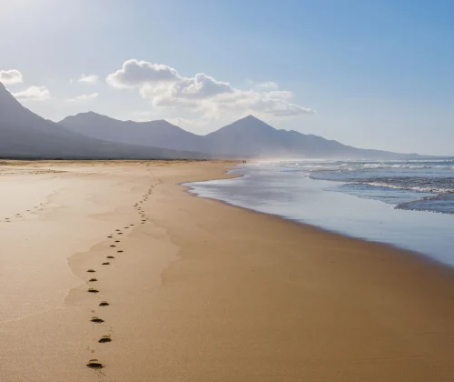 iStock-1492226992cofete playa_result